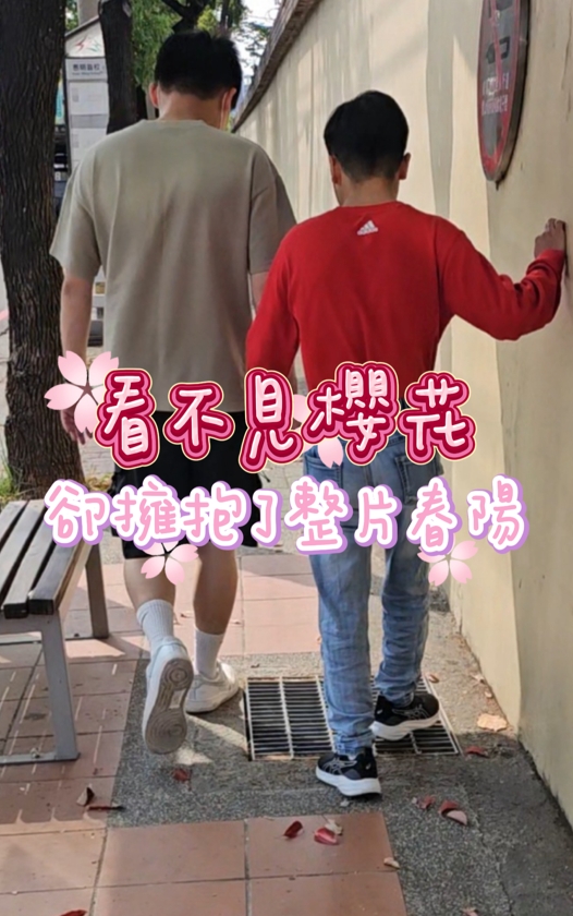 他們看不見櫻花，卻感受得到春陽 封面