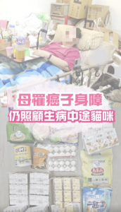母罹癌子身障仍照顧生病中途貓咪封面